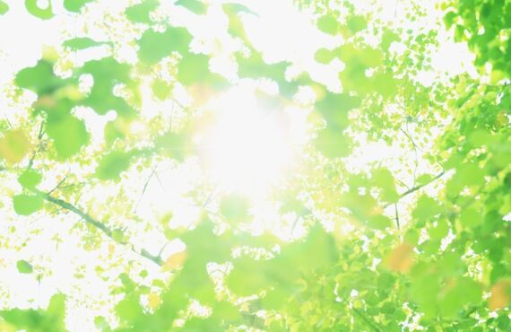 ＼大募集／施工管理技士・土木施工管理技士の方、一緒に働きませんか？！